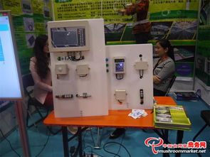 科技賦能 味蕾綻放——3000多項(xiàng)食用菌產(chǎn)品技術(shù)亮相青島會(huì)展，計(jì)量技術(shù)服務(wù)助力產(chǎn)業(yè)升級