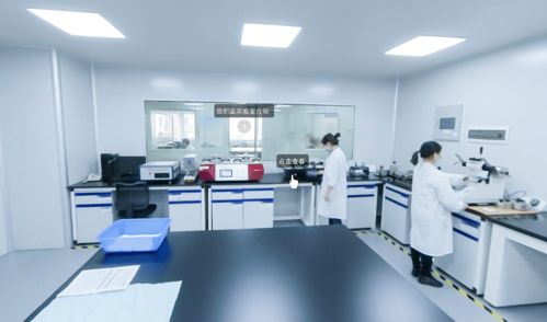 協(xié)會(huì)喜添A股新成員，廣電計(jì)量為建材家居競爭力注入科技動(dòng)力